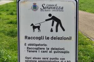 Seravezza: stop alle deiezioni dei cani negli spazi pubblici