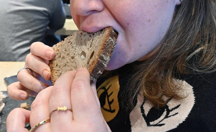 Il pane con la farina di grillo