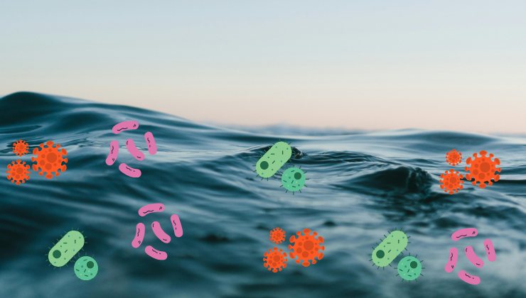 Mare contaminato