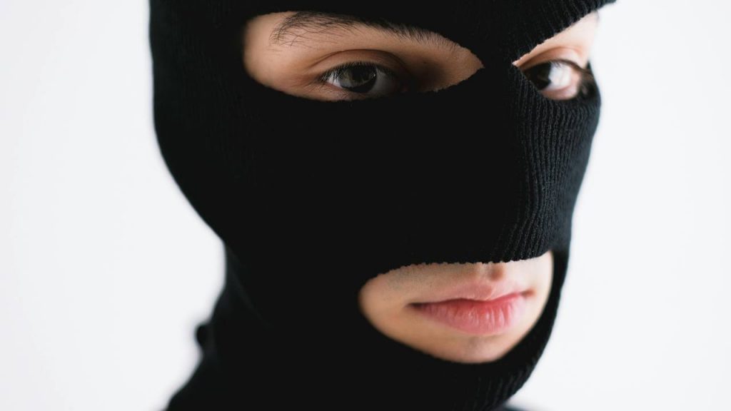 Diventare ladri senza conseguenze penali - lagazzettdiviareggio.it - 20250522