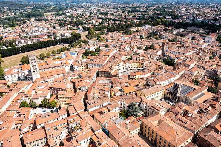I risultati dell'indagine