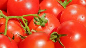 Salsa di pomodoro, quale non acquistare mai - lagazzettadiviareggio.it - 20250515