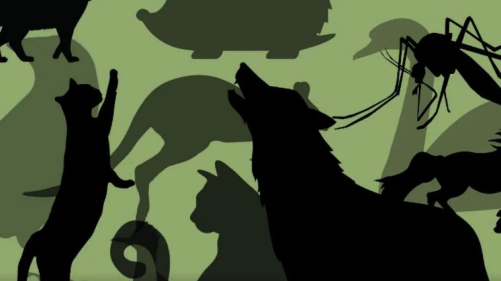 Trova gli animali