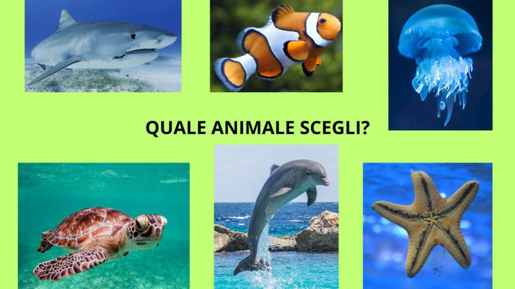 Test psicologico