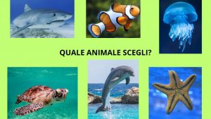 Test psicologico