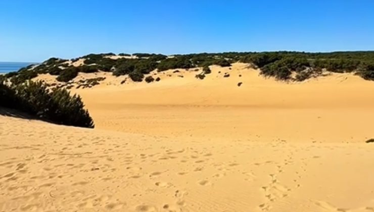 Sahara Made in Italy