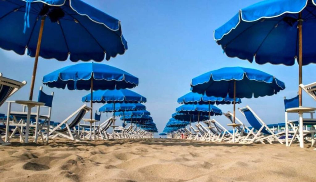 Una specie animale invade le spiagge