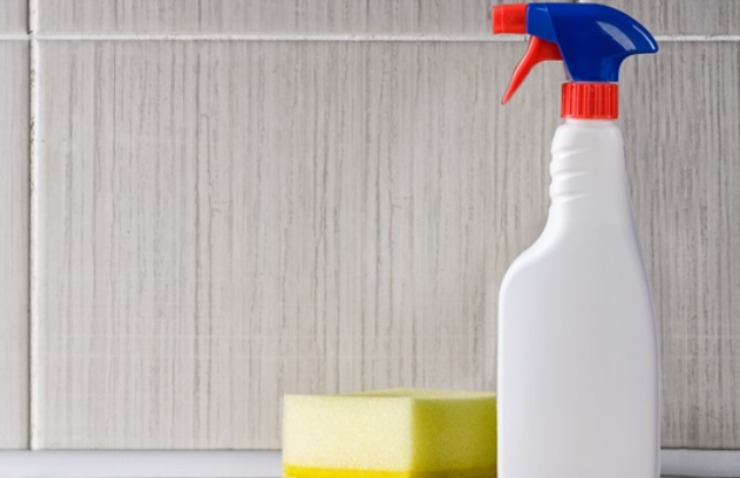 I detergenti per pulire il WC