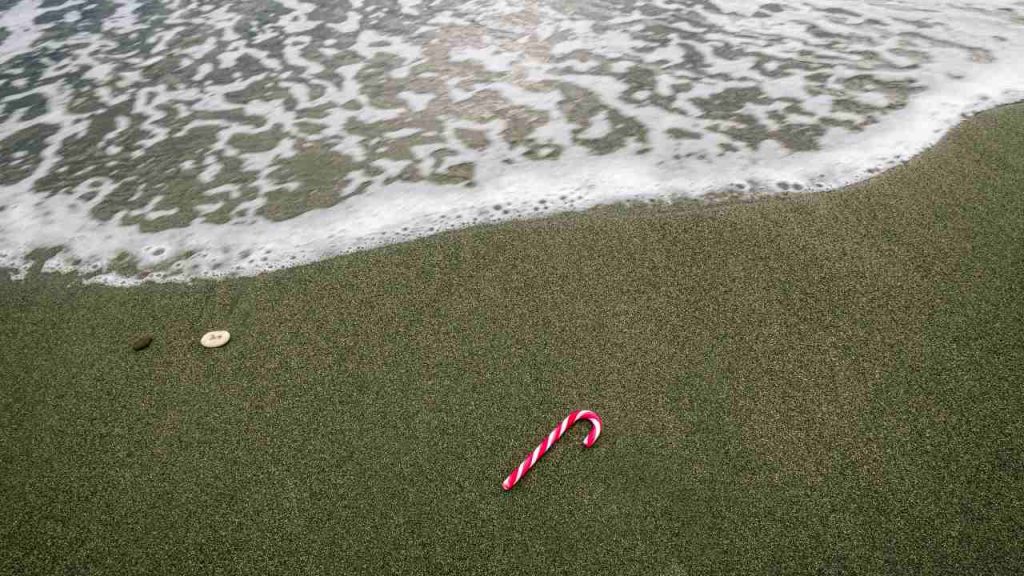 Natale a 40 gradi, addio all'inverno - lagazzettadiviareggio.it - 20250704