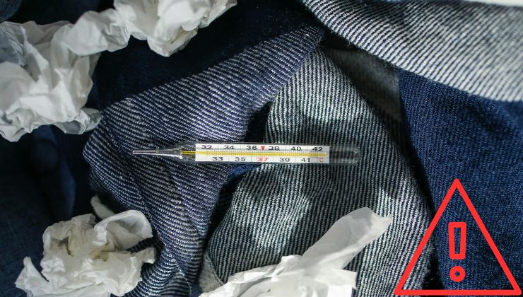 Allerta virus