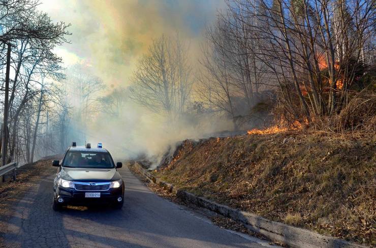 Bisogna prevenire gli incendi