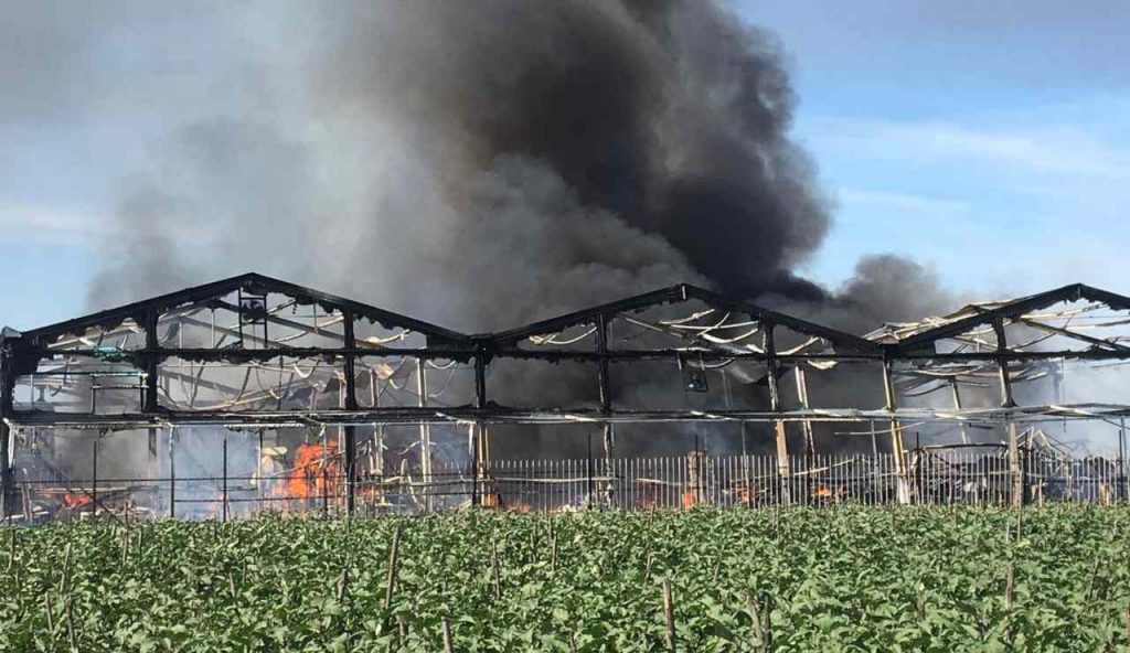 Grave incendio in serra